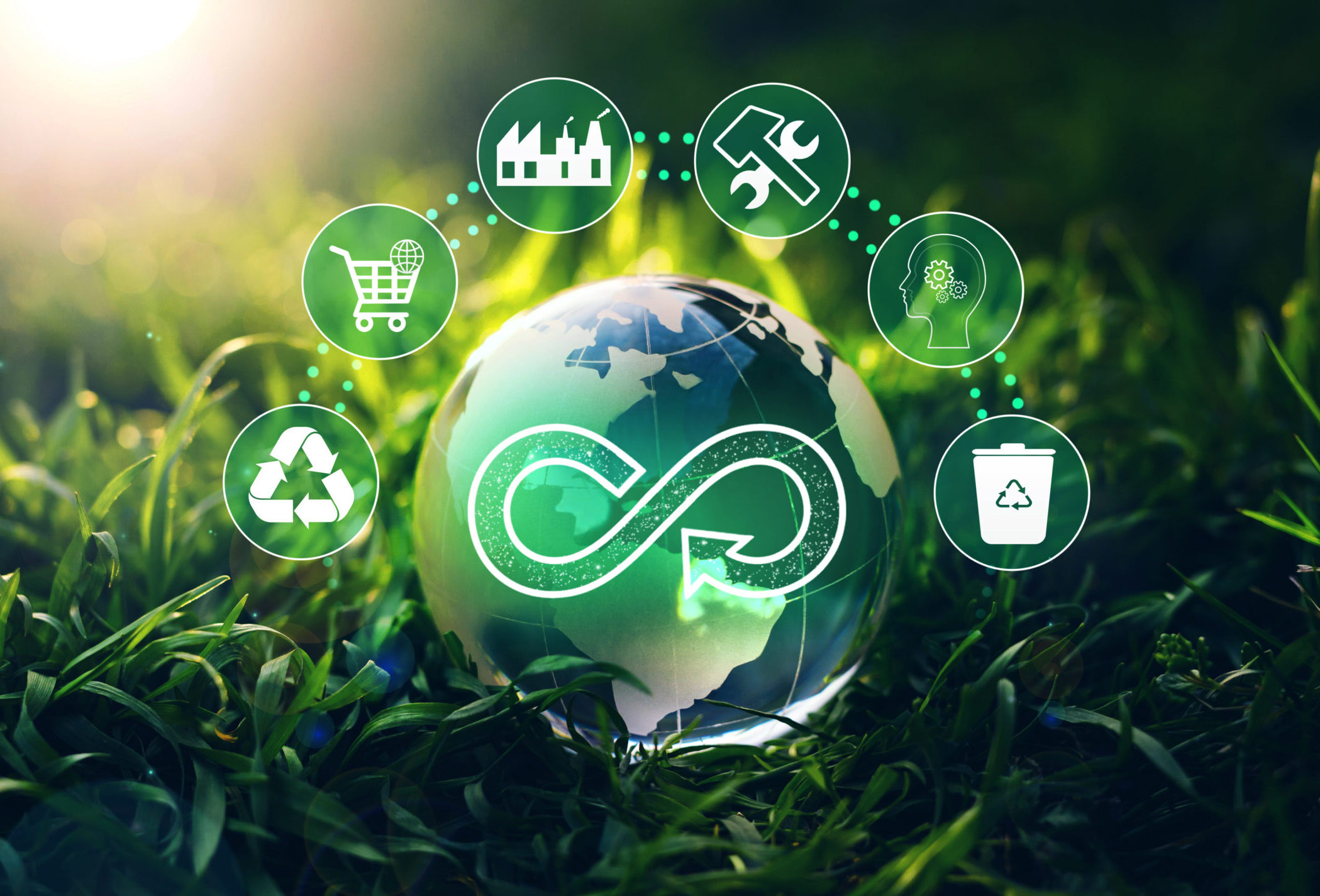 Embracing a Circular Economy – AlgoRhythm’s Path Towards Sustainability